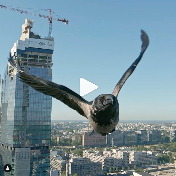 The-beauty-of-flight dji